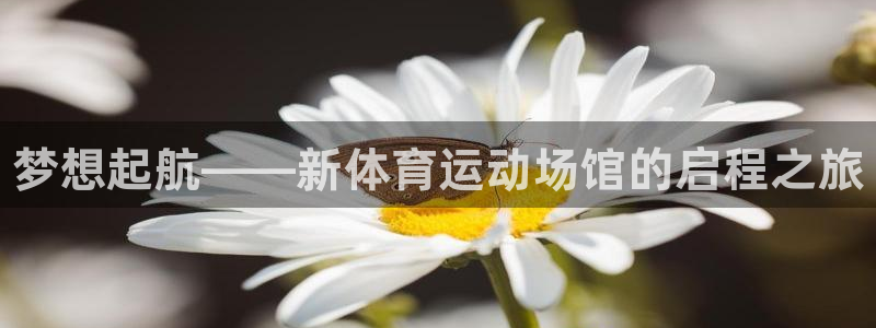 一竞技官网下载联系电话：梦想起航——新体育运动场馆的