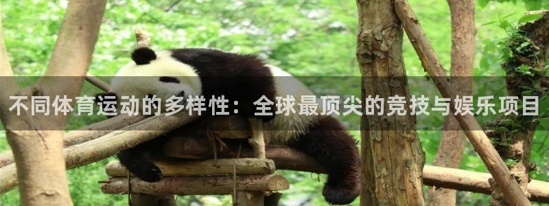 一竞技官方正版app娱乐40996：不同体育运动的多样性：全