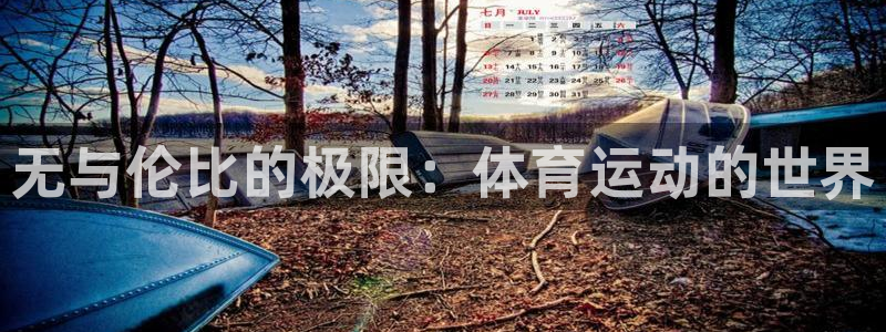 一竞技官方正版app集团简介：无与伦比的极限：体育运动的世界