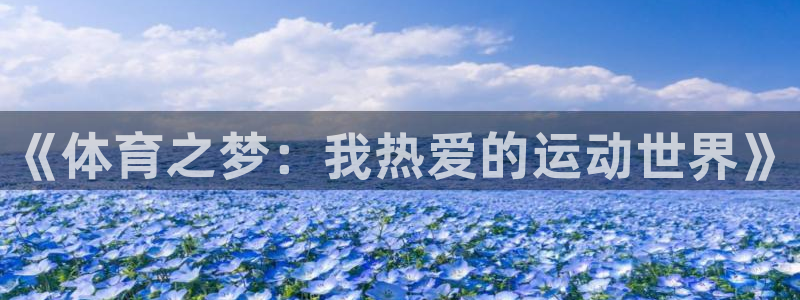 一竞技官网下载招商电话：《体育之梦：我热爱的运动世界》