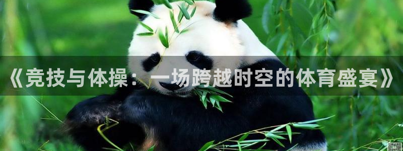 一竞技官方正版app官网：《竞技与体操：一场跨越时空的体育盛