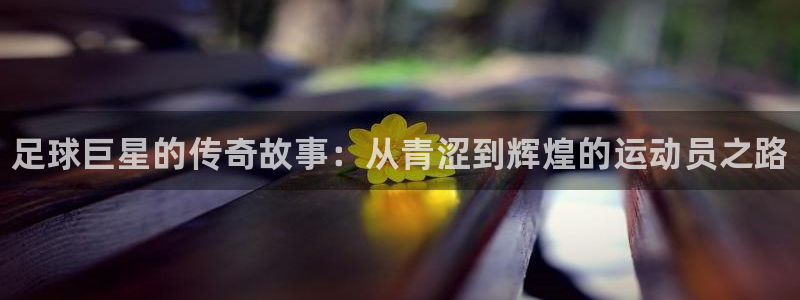 一竞技官网下载招商电话号码查询：足球巨星的传奇故事：从青涩到