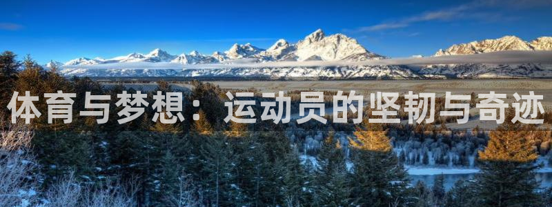 一竞技官网下载平台是正规平台吗知乎：体育与梦想：运动员的坚韧