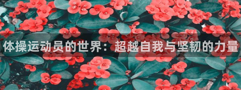 一竞技官方正版app娱乐网站：体操运动员的世界：超越自我与坚