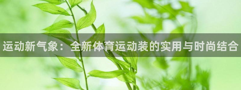 一竞技官网下载是干嘛的公司：运动新气象：全新体育运动