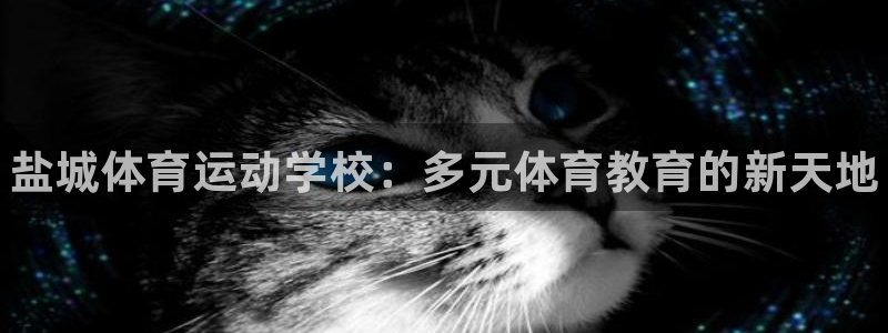 一竞技官方正版app娱乐：盐城体育运动学校：多元体育教育的新
