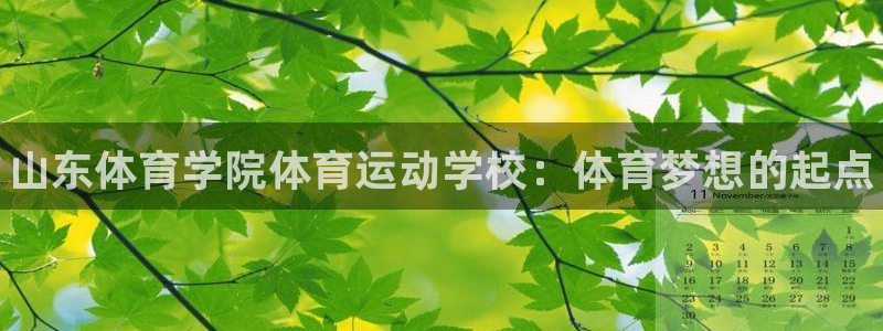 一竞技官方正版app集团