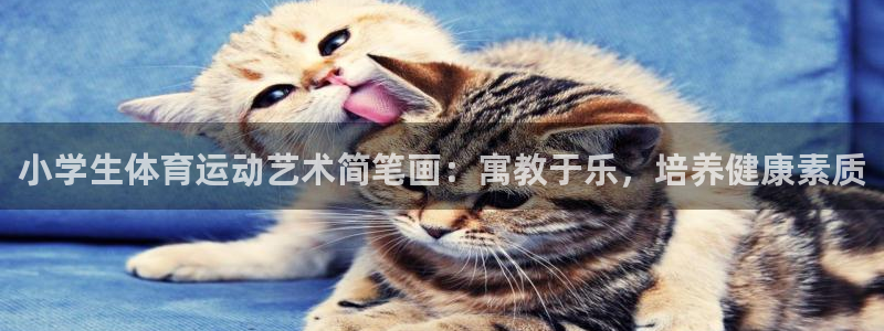 一竞技官网下载招商：小学生体育运动艺术简笔画：寓教于乐，培养
