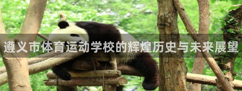 德国一竞技官方正版app集团