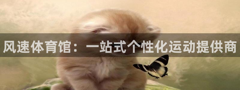一竞技官网下载平台是正规平台吗安全吗：风速体育馆：一站式个性