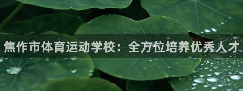 海南一竞技官网下载发展怎么样