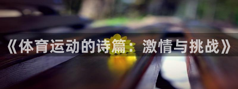 一竞技官方正版app神州