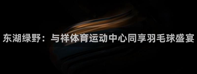 一竞技官网下载平台注册要钱吗：东湖绿野：与祥体育运动中心同享