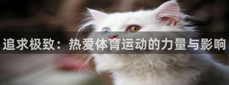 一竞技官方正版app集团logo：追求极致：热爱体育