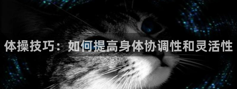 一竞技官方平台体育：体操技巧：如何提高身体协调性和灵活性