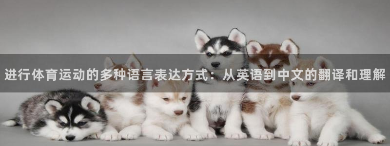 一竞技官网下载平台是正规平台吗安全吗：进行体育运动的多种语言