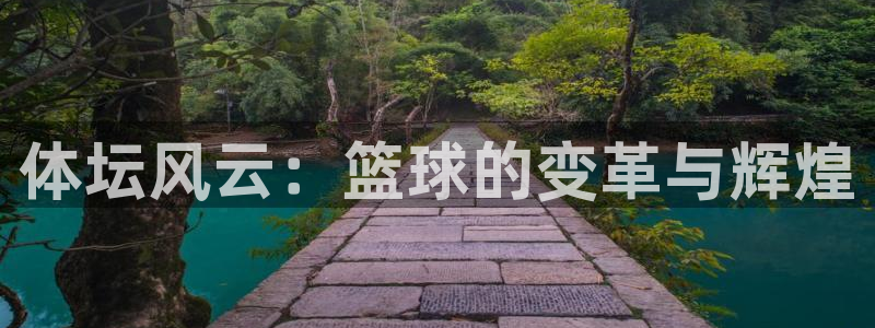 一竞技官网下载平台是正规平台吗安全吗：体坛风云：篮球的变革与