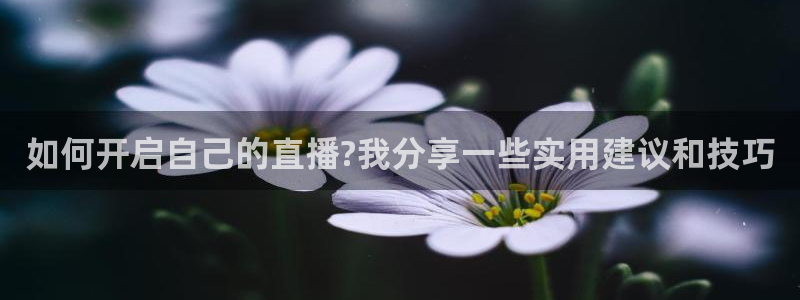 nba直播免费观看直播在线龙门