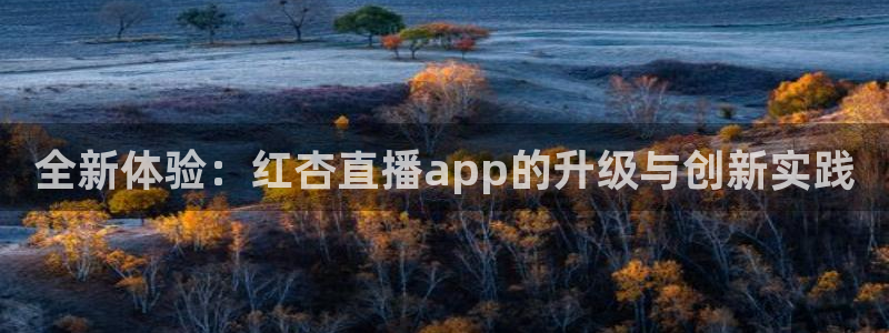 龙门直播体育直播：全新体验：红杏直播app的升级与创新实践