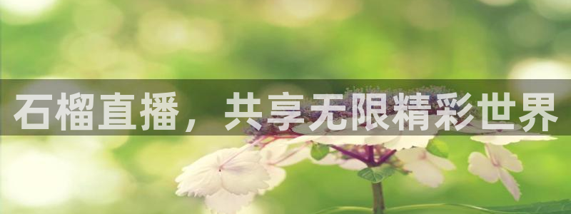 下载龙门体育直播：石榴直播，共享无限精彩世界