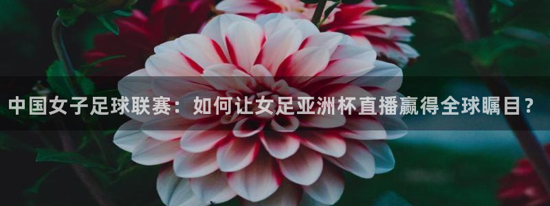 龙门直播nba免费直播下载：中国女子足球联赛：如何让女足亚洲杯直播赢得全球瞩目？