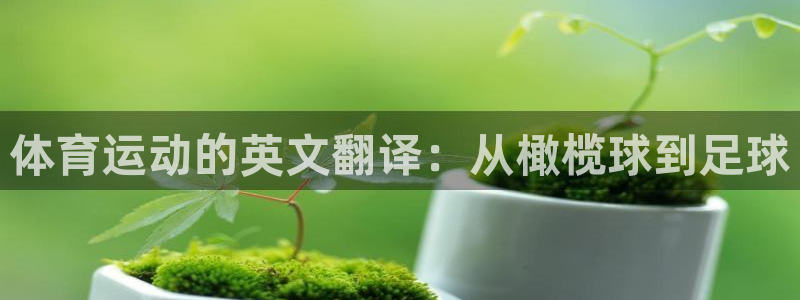 一竞技app官方网站：体育运动的英文