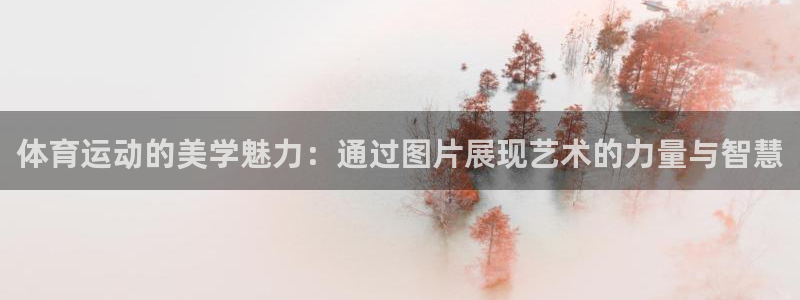 一竞技平台可以借钱吗：体育运动的美学魅力：通过图片展现艺术的