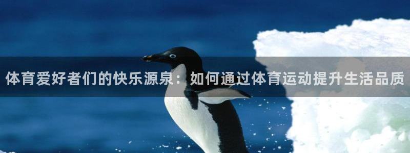 一竞技测速站网址：体育爱好者们的快乐