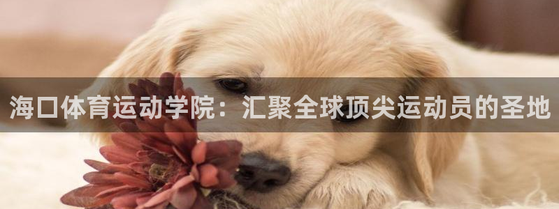 一竞技app下载官方版：海口体育运动学院：汇聚全球顶尖运动员
