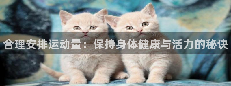  一竞技平台可以借钱吗：合理安排运动量：保持身体健康与活力的秘