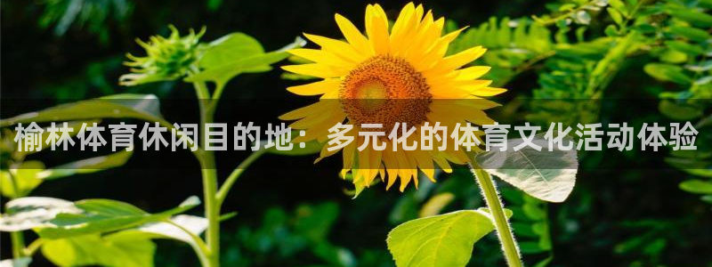 一竞技入口官网首页：榆林体育休闲目的地：多元化的体育文化活动
