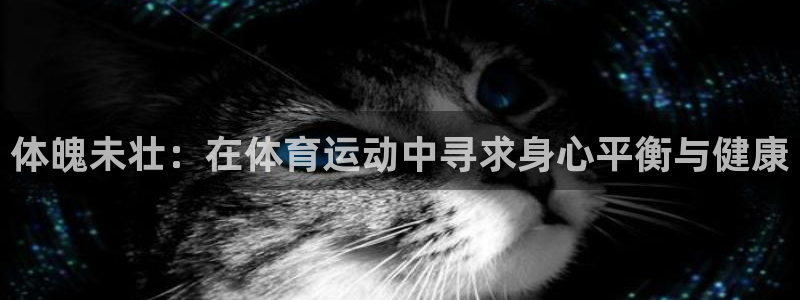  一竞技游戏登录入口：体魄未壮：在体育运动中寻求身心平衡与健康