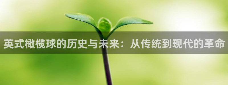  一竞技：英式橄榄球的历史与未来：从传统到现代的革命
