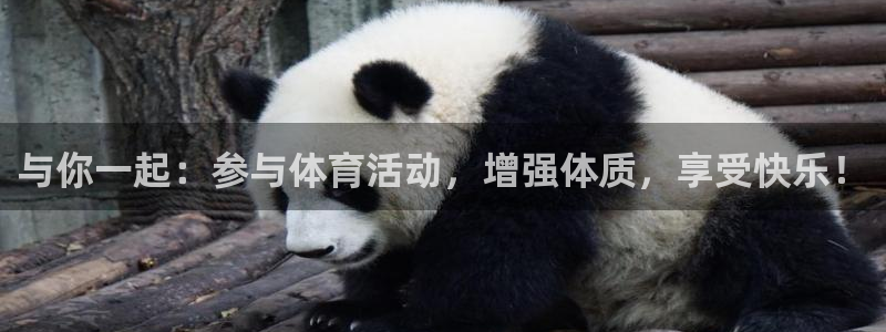  一竞技APP官方下载：与你一起：参与体育活动，增强体质，享受