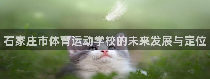 一竞技dota2：石家庄市体育运动学