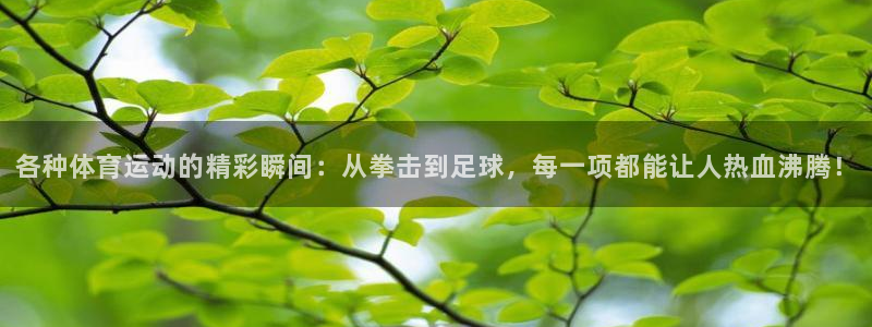  一竞技注册：各种体育运动的精彩瞬间：从拳击到足球，每一项都能