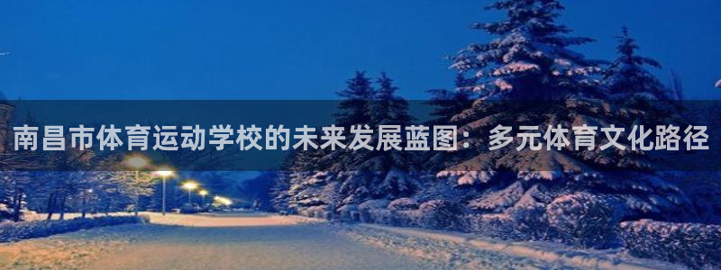 一竞技平台登录入口：南昌市体育运动学校的未来发展蓝图：多元体