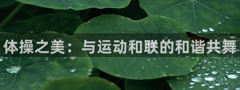  一竞技是什么平台：体操之美：与运动和联的和谐共舞