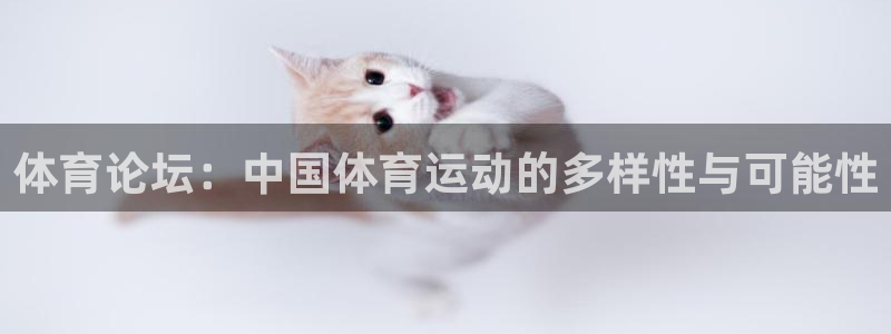  一竞技app下载：体育论坛：中国体育运动的多样性与可能性