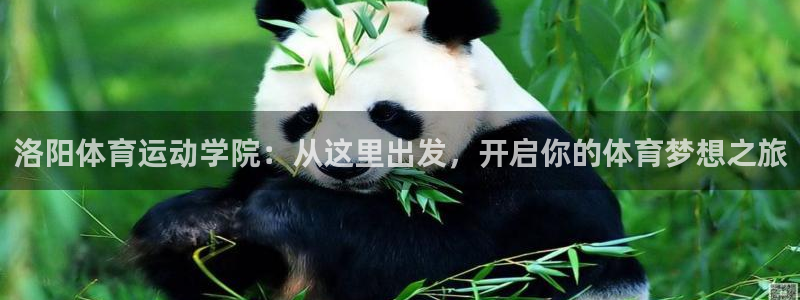 一竞技app官方网站：洛阳体育运动学