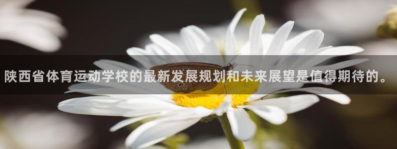 一竞技客服说账号异常：陕西省体育运动