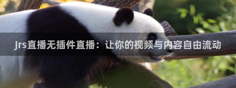 龙门令1至100集免费观看：Jrs直播无插件直播：让你的视频与内容自由流动