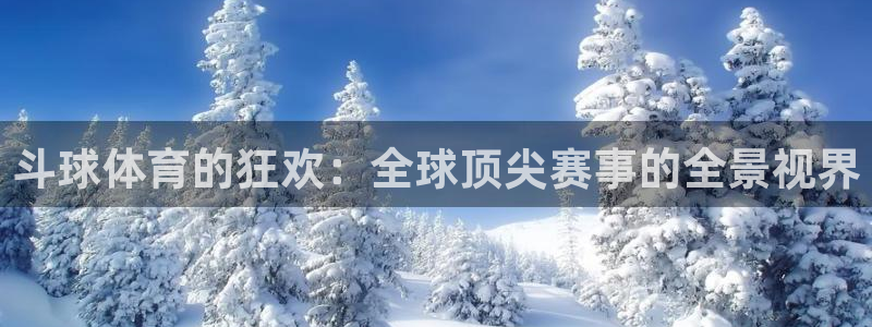 龙门直播体育免费观看：斗球体育的狂欢：全球顶尖赛事的全景视界