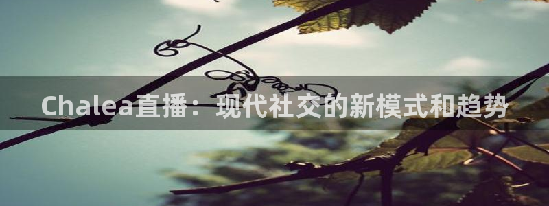 龙门飞甲粤语在线看：Chalea直播：现代社交的新模式和趋势